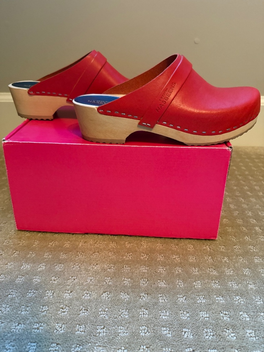Swedish Hasbeens Clogs